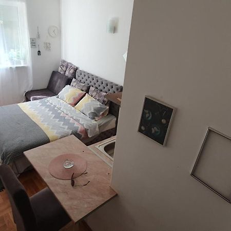 Vrnjačka Banja Studio Dunja מראה חיצוני תמונה