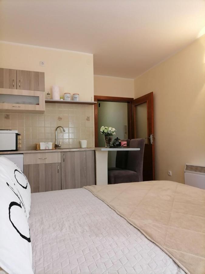 Vrnjačka Banja Studio Dunja מראה חיצוני תמונה