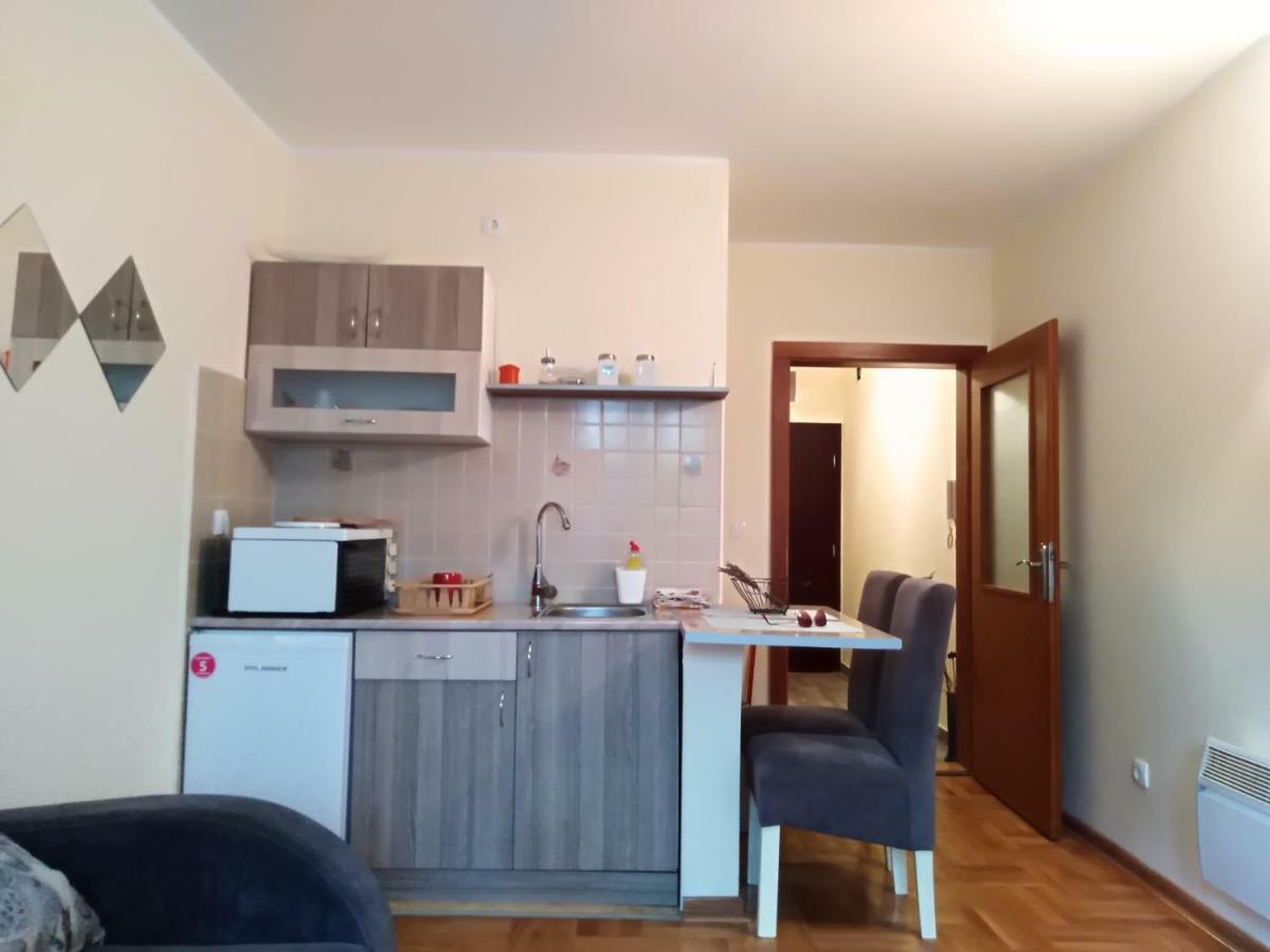 Vrnjačka Banja Studio Dunja מראה חיצוני תמונה